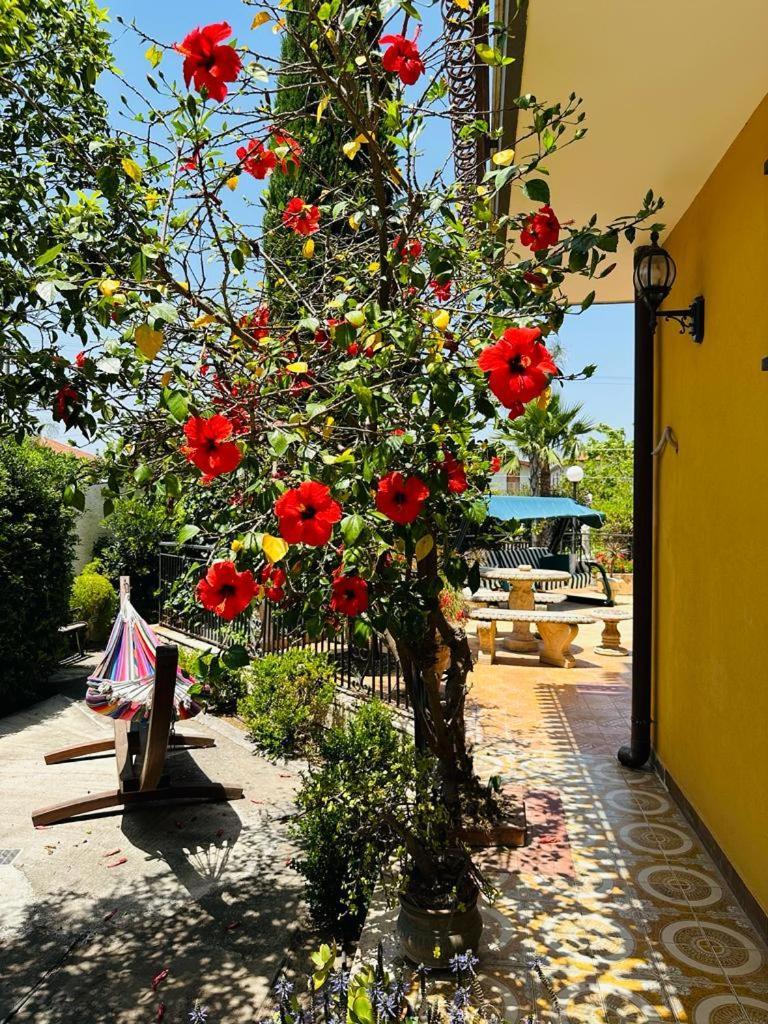Villa Sicels - Agnone Beach - Syracuse 巴尼阿尼奥内 外观 照片